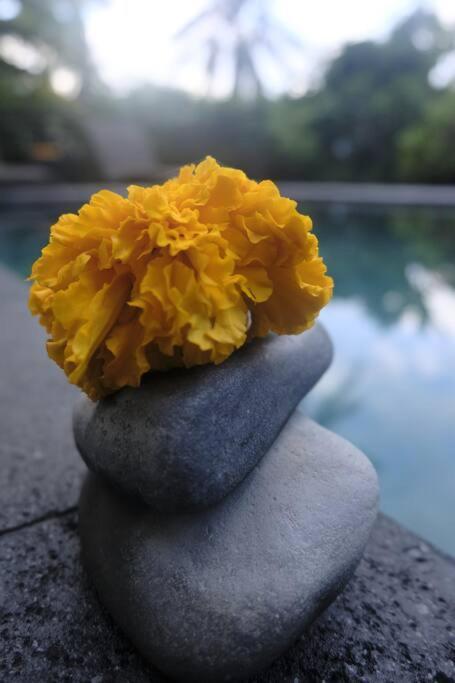 Umah Kemuning Near To Central Ubud 外观 照片